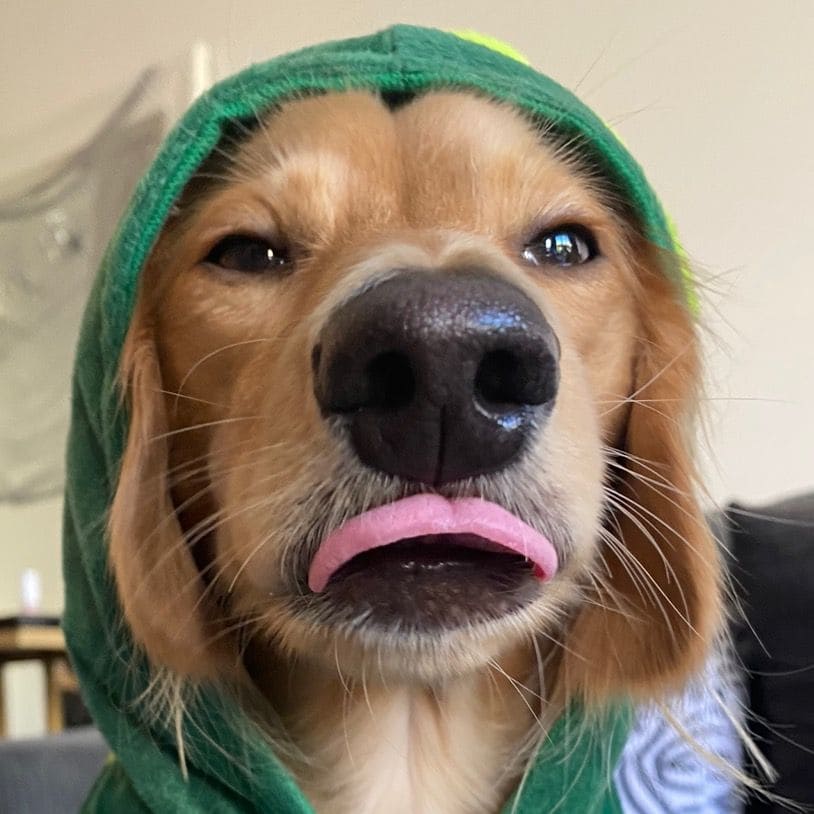creator @winston_da_ween