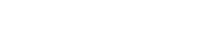 Viplink AI