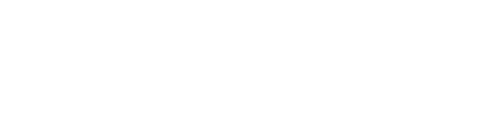 logo_viplink